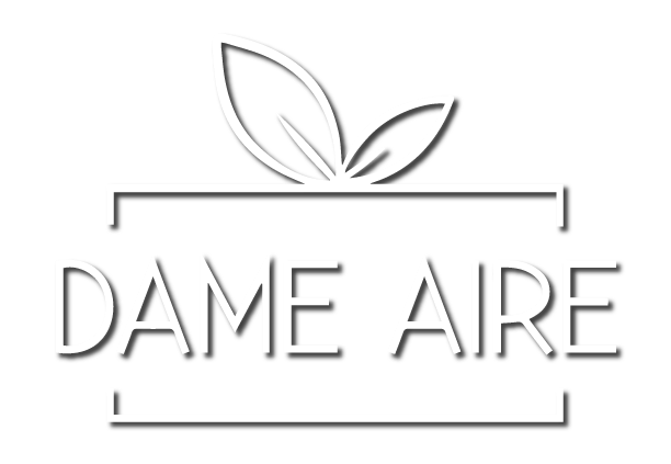 logoDameAire