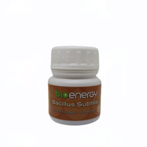 Bio energy Bacillus Subtilis.