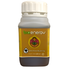 Bio energy Bacillus Subtilis 250ml